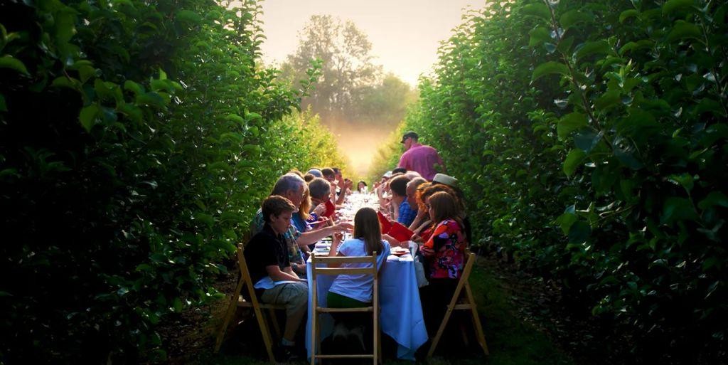 Rustic Farm-to-Table Experience