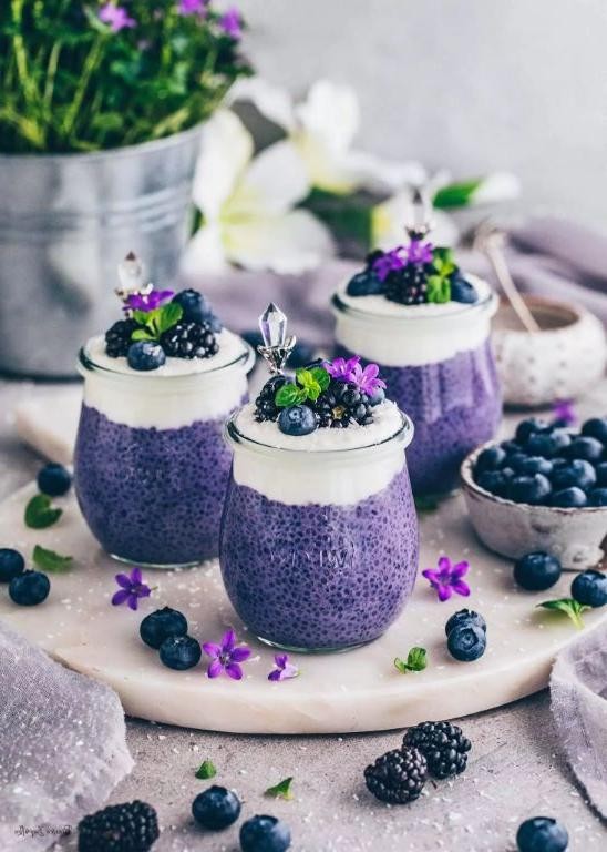 Vegan Blueberry Chia Seed Pudding